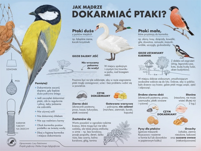 Plakat - zasady dokarmiania ptaków